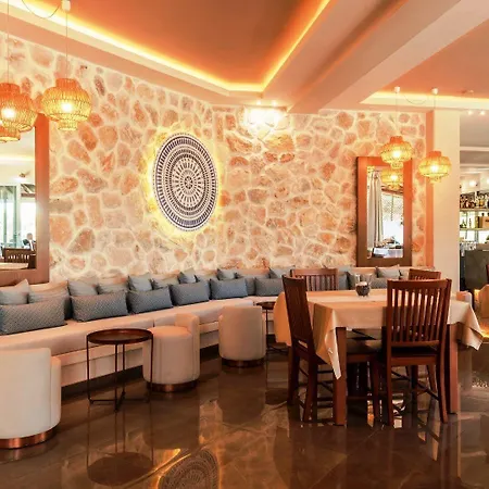 公寓式酒店 菀村酒店 3*