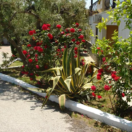 Asteris Village Gerakini