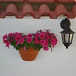 Asteris Village Hotel apartamentowy Gerakini