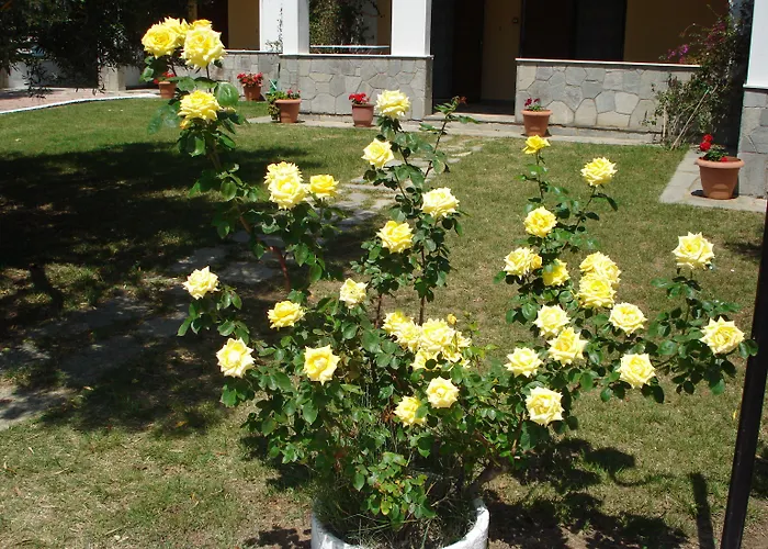 Asteris Village 3* Gerakini