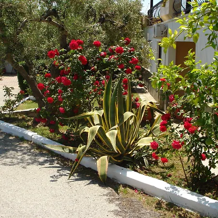 Asteris Village Hotel apartamentowy 3*