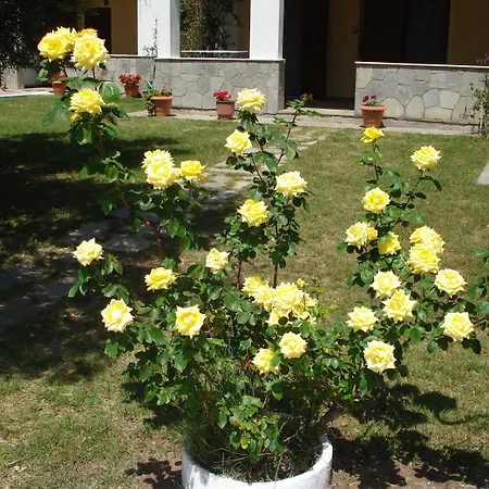 Asteris Village 3* Gerakini