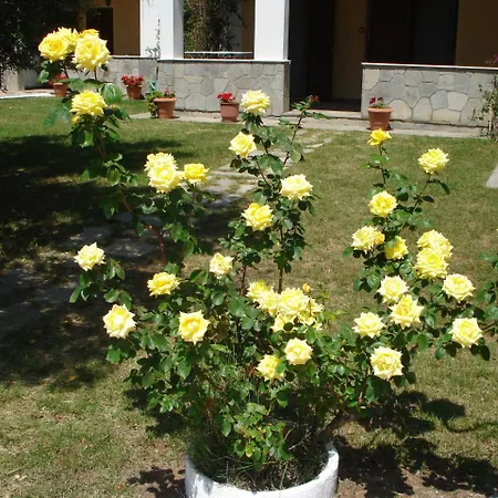 Aparthotel Asteris Village 3*
