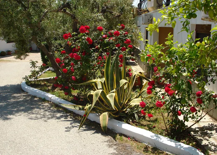 Asteris Village Hotel apartamentowy 3*